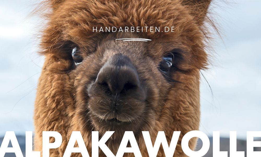 Alpakawolle: Luxus und Wärme für die Hände - Handarbeiten